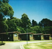 Katoomba Falls Caravan Park - SA Accommodation