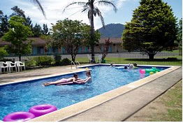 Bounty Motor Inn - SA Accommodation 0