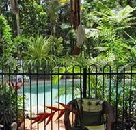 Daintree Rainforest Retreat Motel - SA Accommodation