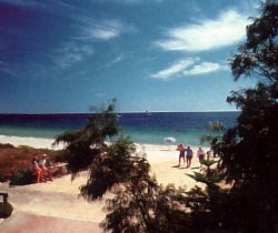 Acacia Caravan Park - SA Accommodation 0