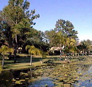 Twin Lakes Hotel - SA Accommodation