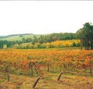 Byramgou Park - SA Accommodation
