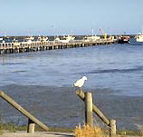 Seaview Motel and Holiday Units - SA Accommodation