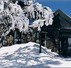 Arlberg Hotel Mt Buller - SA Accommodation
