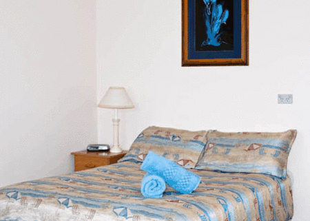 Bamboo Motor Inn - SA Accommodation 0