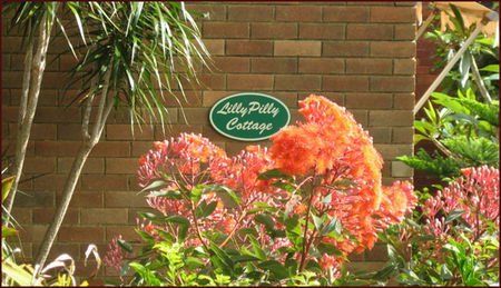 Balgowlah NSW SA Accommodation