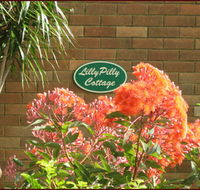 Lillypilly - SA Accommodation