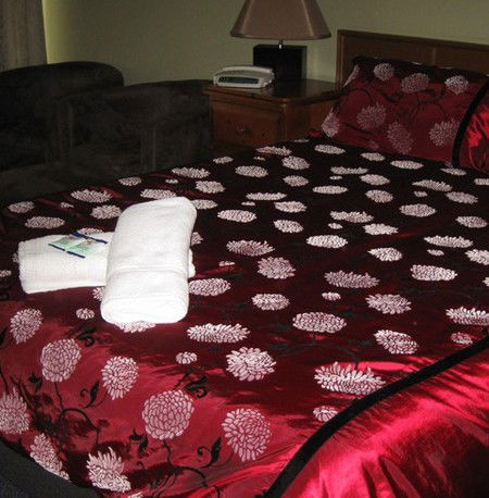 Riverbank Park Motel - SA Accommodation 1