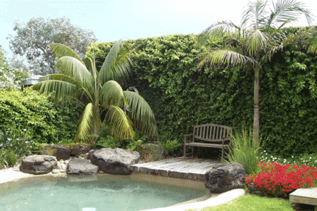 The Tropicana Motor Inn - SA Accommodation 2