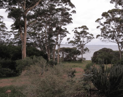 The Denmark Waterfront - SA Accommodation
