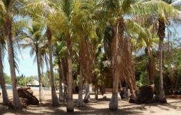 King Sound Resort Hotel - SA Accommodation