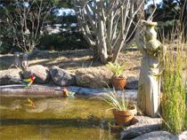 Murray Gardens Motel And Cottages - SA Accommodation 2