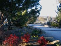 Murray Gardens Motel And Cottages - SA Accommodation 3