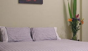 Stingo Hotel - SA Accommodation 0