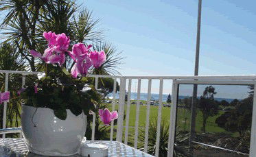 Beach Park Motor Inn - SA Accommodation 3
