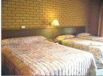 Bega Village Motor Inn - SA Accommodation 3