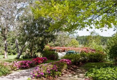 Bilpin Resort - SA Accommodation 2