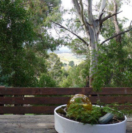 Kosciuszko NSW SA Accommodation