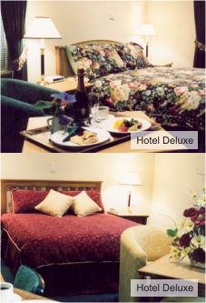  SA Accommodation