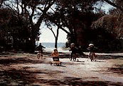 Acacia Caravan Park - SA Accommodation 4