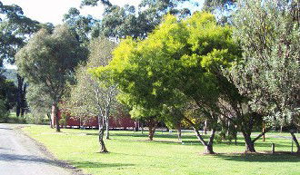 Gellibrand River Valley Cabins - SA Accommodation 1