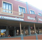 Harp Deluxe Hotel - SA Accommodation