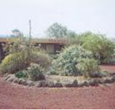 Beaufort Motel - SA Accommodation