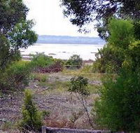 Lake Saint Clair Nature Retreat - SA Accommodation