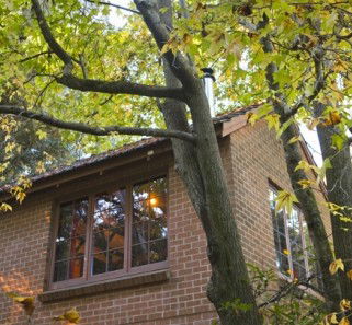Crafers Cottages - Cherrytree Cottage - SA Accommodation 4