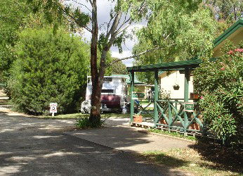 Penola Caravan Park - SA Accommodation 1