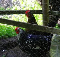 Norma's Place - SA Accommodation