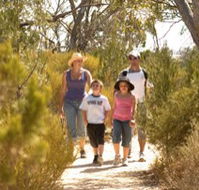 Long Island Caravan Park Cabins - SA Accommodation