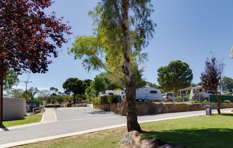 Avoca Dell Caravan Park - SA Accommodation 0
