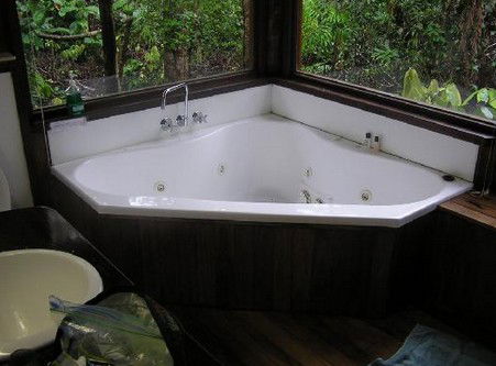 The Canopy Rainforest Tree Houses And Wildlife Sanctuary - SA Accommodation 0