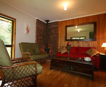 The Canopy Rainforest Tree Houses And Wildlife Sanctuary - SA Accommodation 1