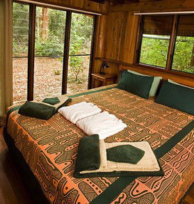 The Canopy Rainforest Tree Houses And Wildlife Sanctuary - SA Accommodation 2