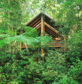 The Canopy Rainforest Tree Houses And Wildlife Sanctuary - SA Accommodation 5