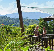 Rose Gums Wilderness Retreat - SA Accommodation
