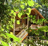 Rivers Edge Rainforest Retreat - SA Accommodation