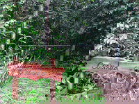 Rivers Edge Rainforest Retreat - SA Accommodation 4