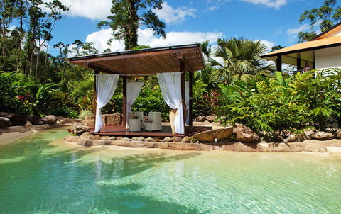 Misty Mountains Tropical Rainforest Romantic Retreat - SA Accommodation 1