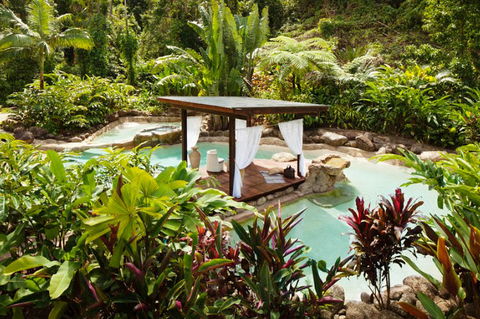 Misty Mountains Tropical Rainforest Romantic Retreat - SA Accommodation 3