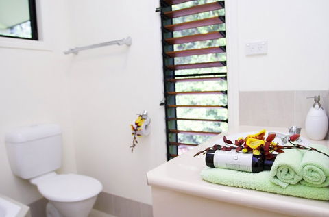 Misty Mountains Tropical Rainforest Romantic Retreat - SA Accommodation 5