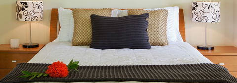 Misty Mountains Tropical Rainforest Romantic Retreat - SA Accommodation 7