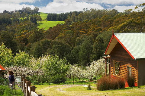 Elvenhome Farm Cottage - SA Accommodation 5