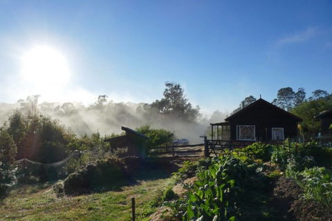 Elvenhome Farm Cottage - SA Accommodation 9
