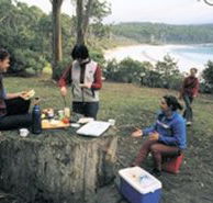 Fortescue Bay Camping Ground - SA Accommodation