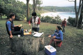 Fortescue Bay Camping Ground - SA Accommodation 0