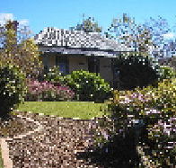 Camellia Cottage At Maple Hill - SA Accommodation