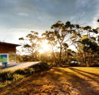 Bruny Island Experience - SA Accommodation
